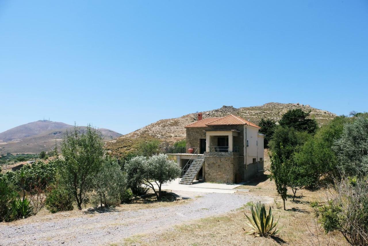 Stone House Of Panos Villa Kornos Exterior photo